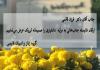 ارتقاء دکتر فرزاد قائمی به مرتبه دانشیاری