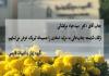 ارتقاء دکتر سید جواد مرتضائی به مرتبه استادی