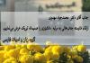 ارتقا دکتر محمّدجواد مهدوی به مرتبه دانشیاری