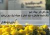 ارتقاء دکتر عبدالله رادمرد به مرتبه استادی